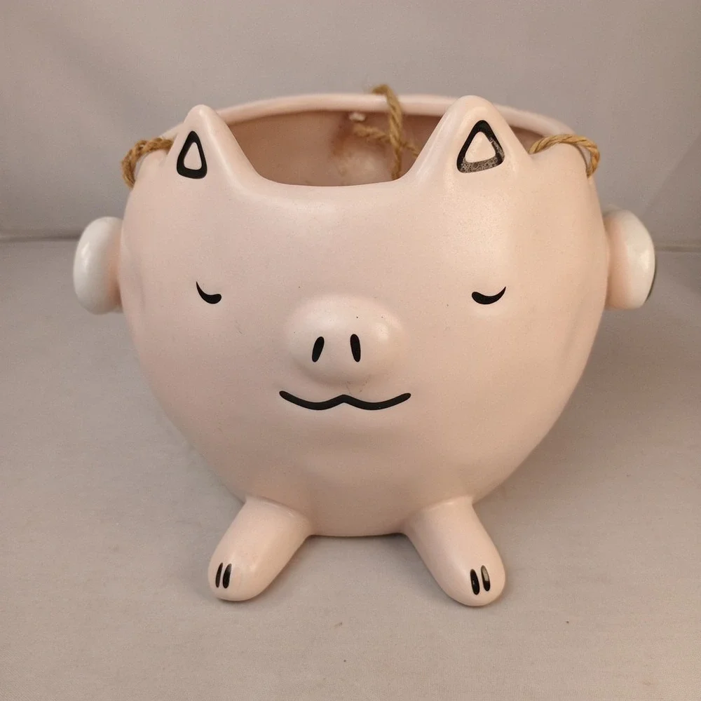 Pottery Pink Flying Ping Planter Pot Succulent Plant Small 3.5